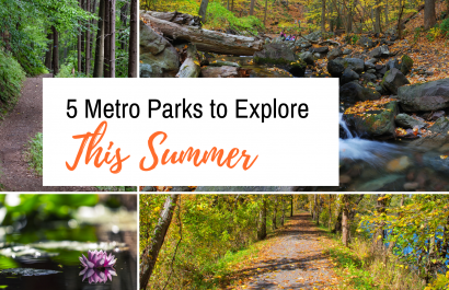 5 Metro Parks to Explore This Summer